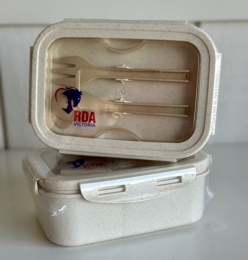 Merch - lunchbox