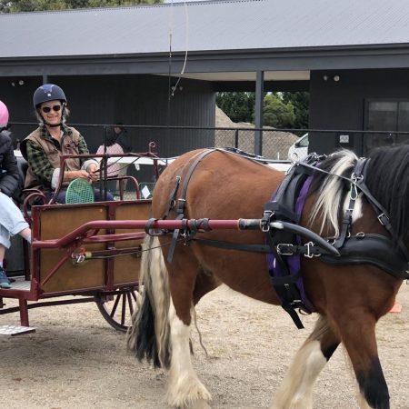Carriage 2