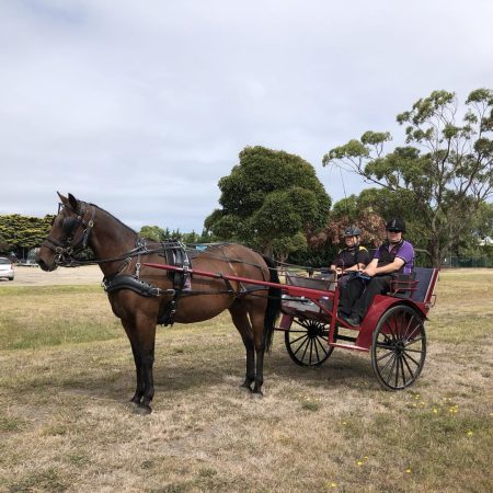 Carriage 4